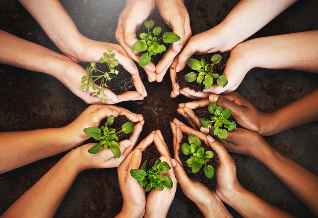 Hands in a circle holding plants, growth