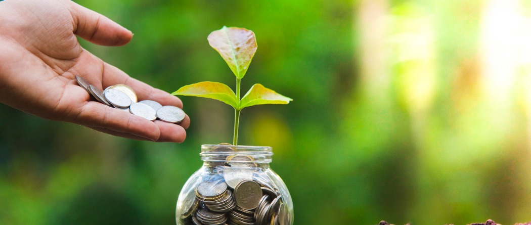 hands coin with plant growth