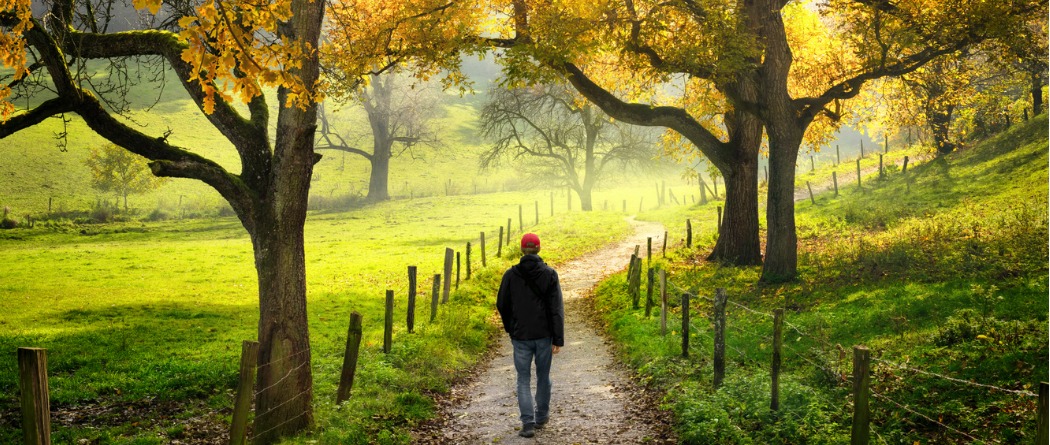 Man walking country path