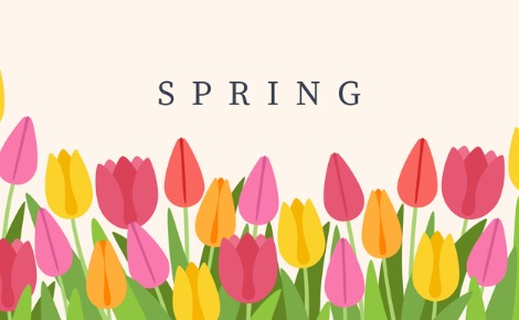 Tulips